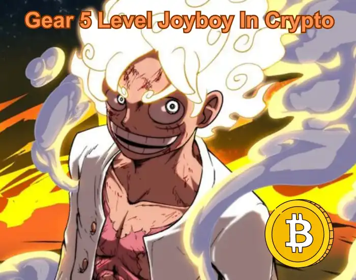 joyboy crypto